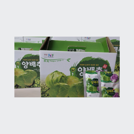 양배추즙(100g) 50포